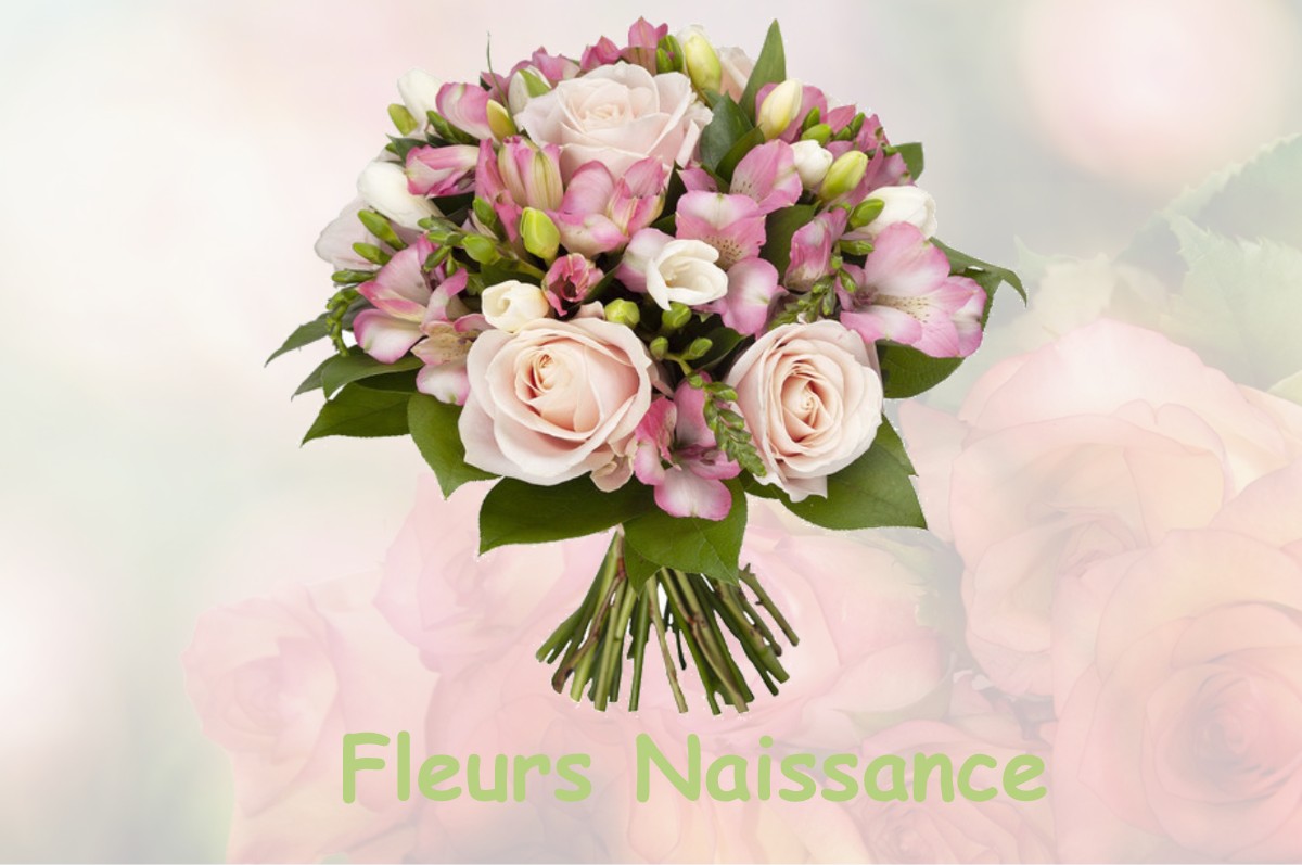 fleurs naissance SAINT-FIACRE-SUR-MAINE